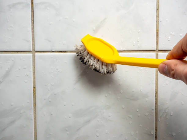 Best Mold Remediation  in White Sulphur Springs, MT