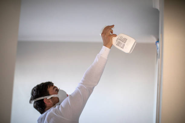 Best Attic Mold Removal  in White Sulphur Springs, MT