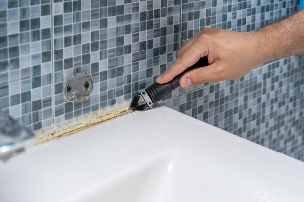 Best Mold Removal Near Me  in White Sulphur Springs, MT
